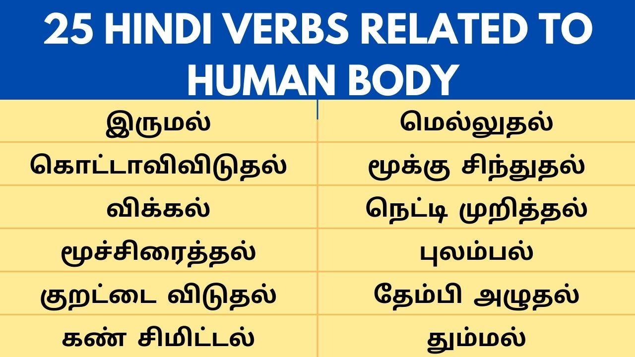 Hindi verbs Related to Human body